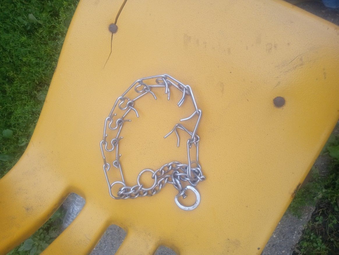 Dog Metal Training Collar, Used