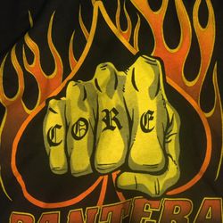 Old Super Rare Vintage 1999 Pantera T-Shirt Hard Core Fist Spade Flames Vtg Tee - MUSEUM CONDITION - MUSIC BAND CONCERT TOUR SIZE LARGE