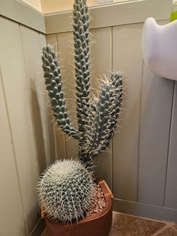 Southwest decor