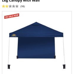 Canopy Instantánea 10x10 Con Pesas Y Pared Incluido