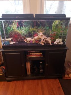 55g fish tank with stand and all accessories (empty- no fish)