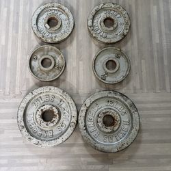 2in Olympic Weight Plates