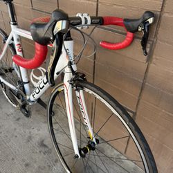 Focus Road Bike 