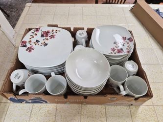 Dish set