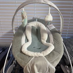 Baby Bouncer 