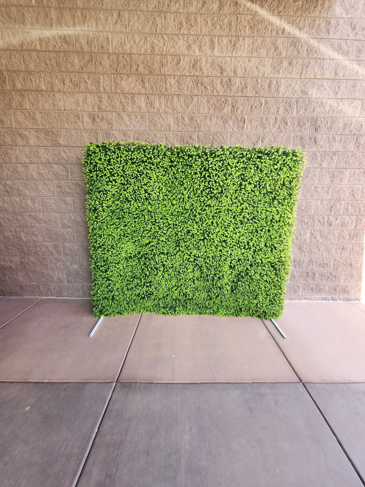 Backdrop Available