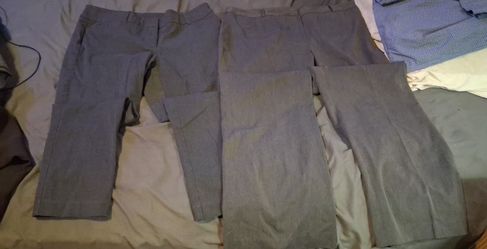 5 pr of womens pants size 16 1 boot cut