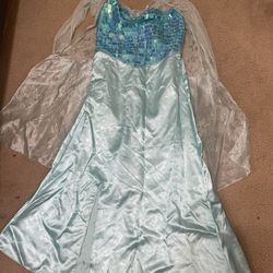 Elsa Costume 