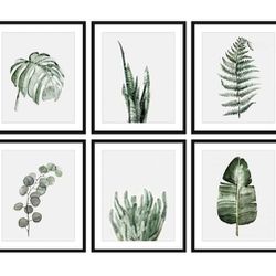 Bestbuddy Set Of 6 Botanical Art Prints 8×10 Unframed
