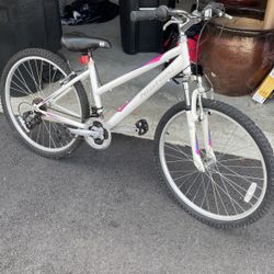 Nishiki Pueblo Bike 