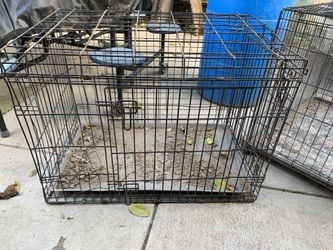 gaula de perro