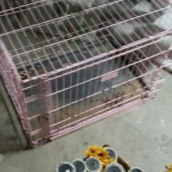 Large Dog Crate