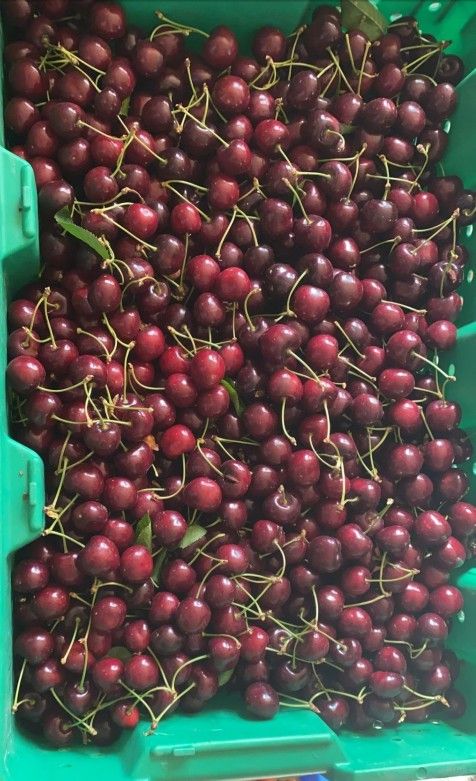 Cherries 🍒