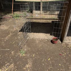 12 Jaulas