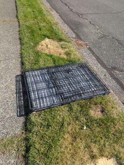 *Free* Large Dog Kennel