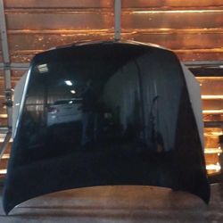 04 vw touareg hood dark green 