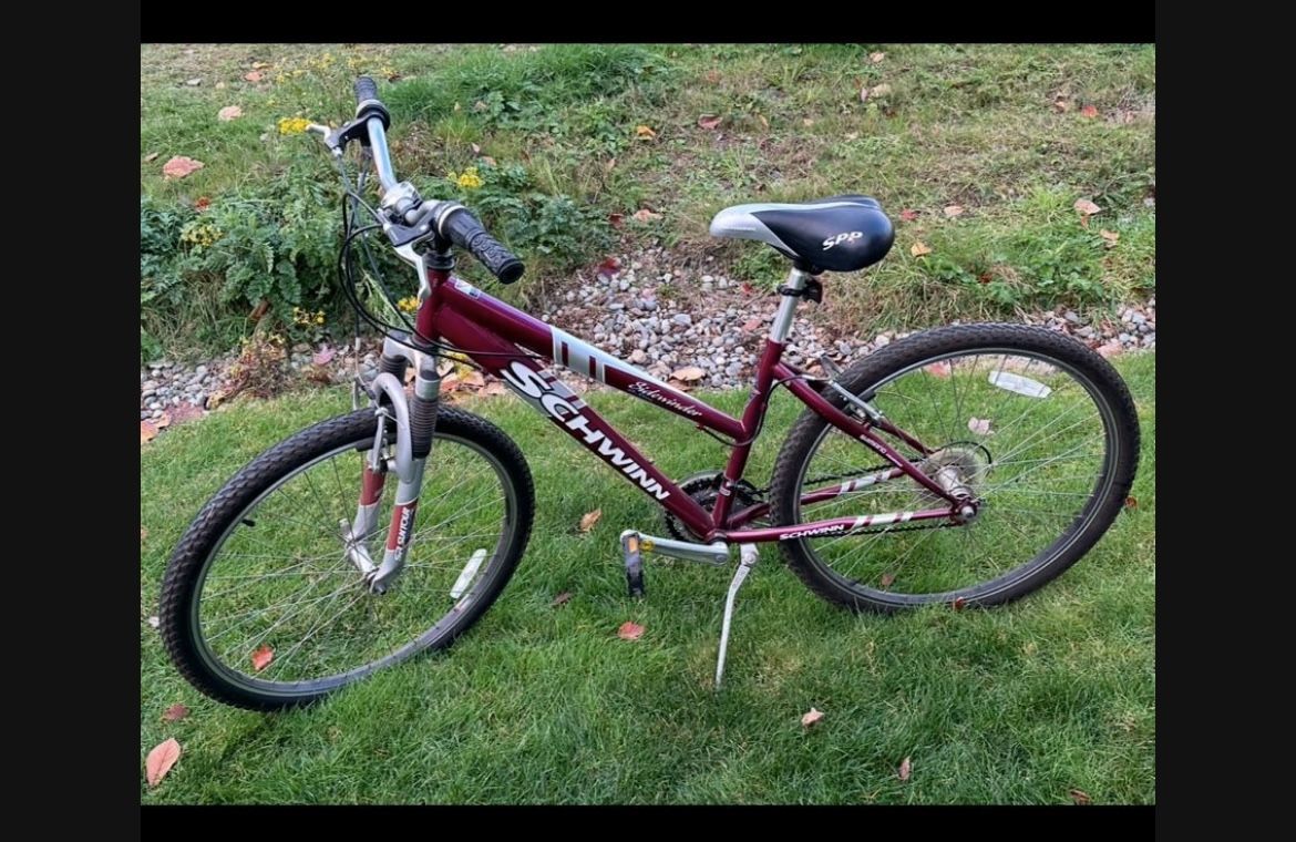 Schwinn Bike
