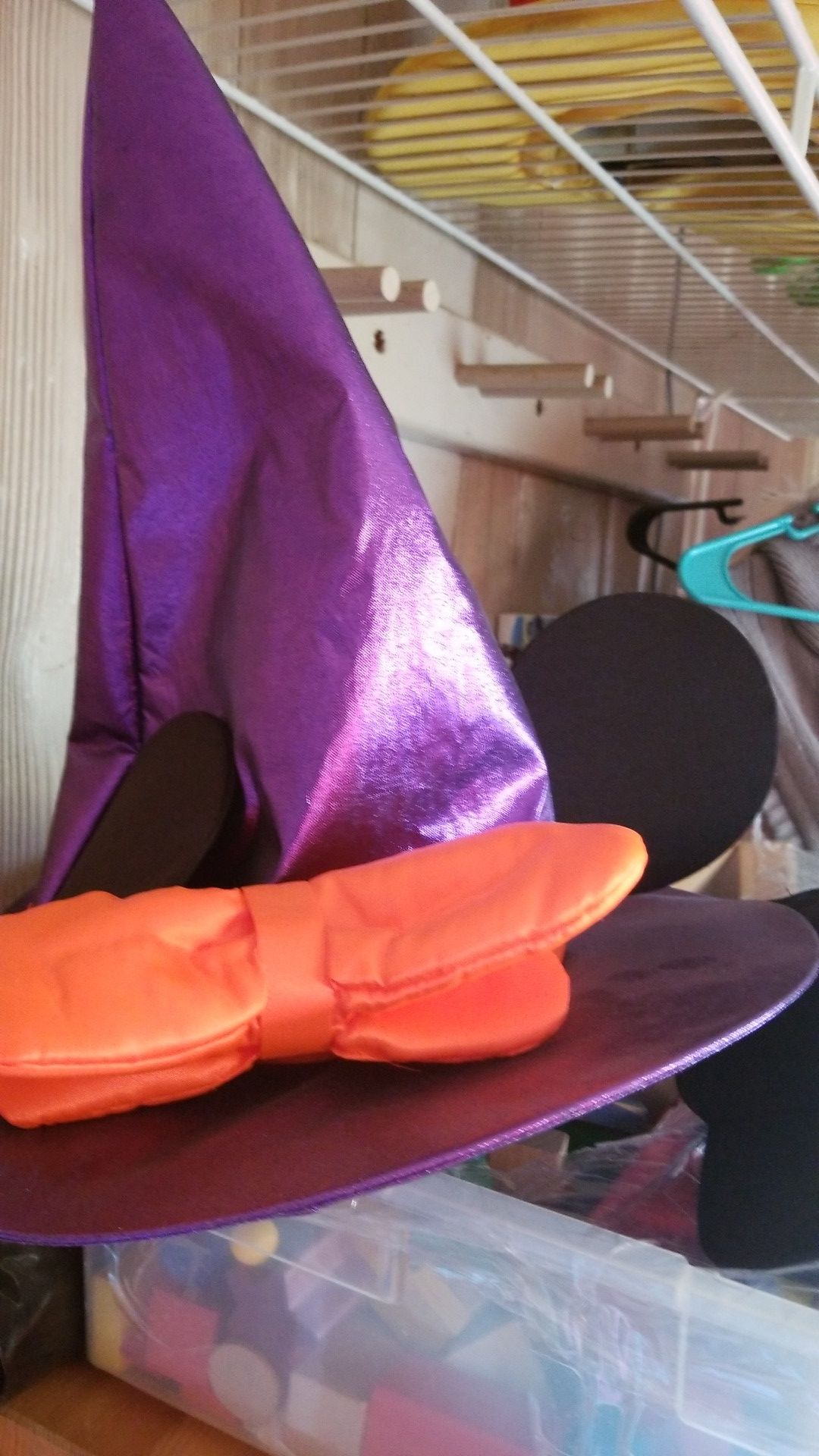 Collectible Mini mouse which hat direct from Disney world