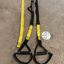 TRX Pro w/ Wall Or Ceiling Mount