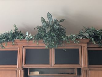 Top shelf greenery