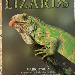 Nature Watch: Lizards by Mark O'Shea