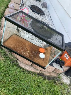 10 gallon fish tank