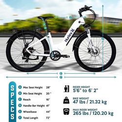 Electric Bikes 