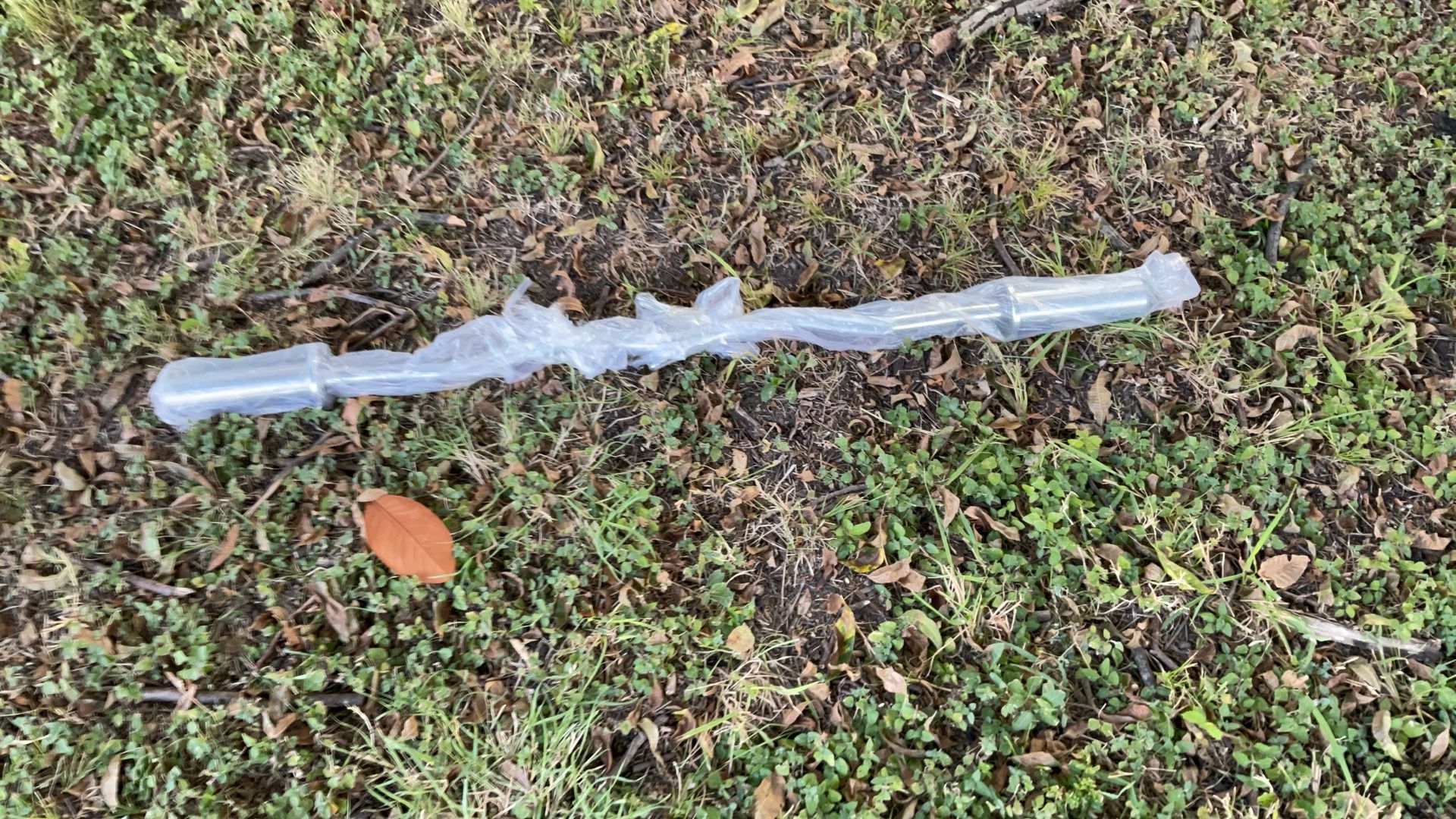 Weight Bar/ Curl Bar