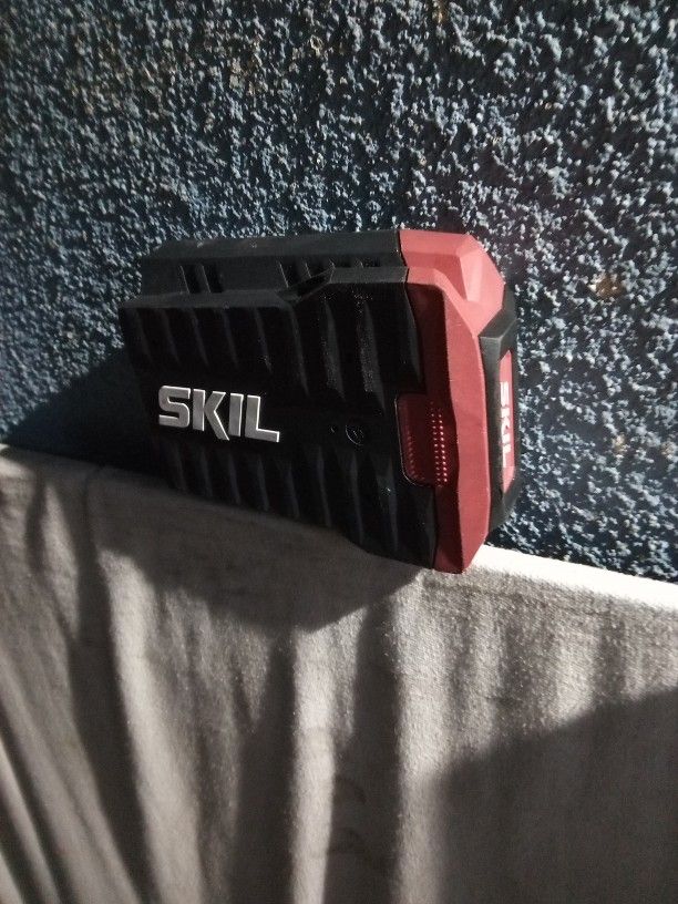 Skill 40 Volt Lithium Battery