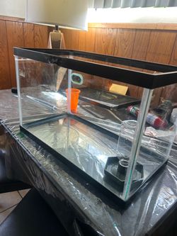 Reptile ready 10 gallon tank