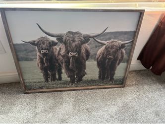 Highland cow frame