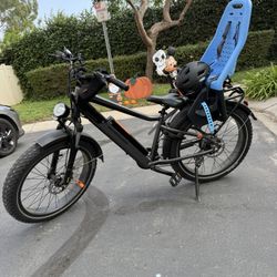 Radpower Electric Bike