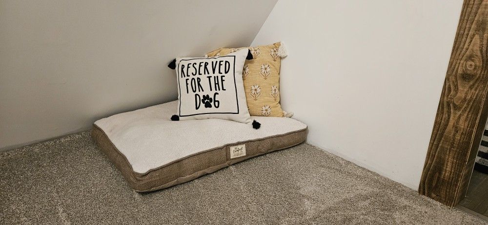 Dog Bed And Cute Pillows