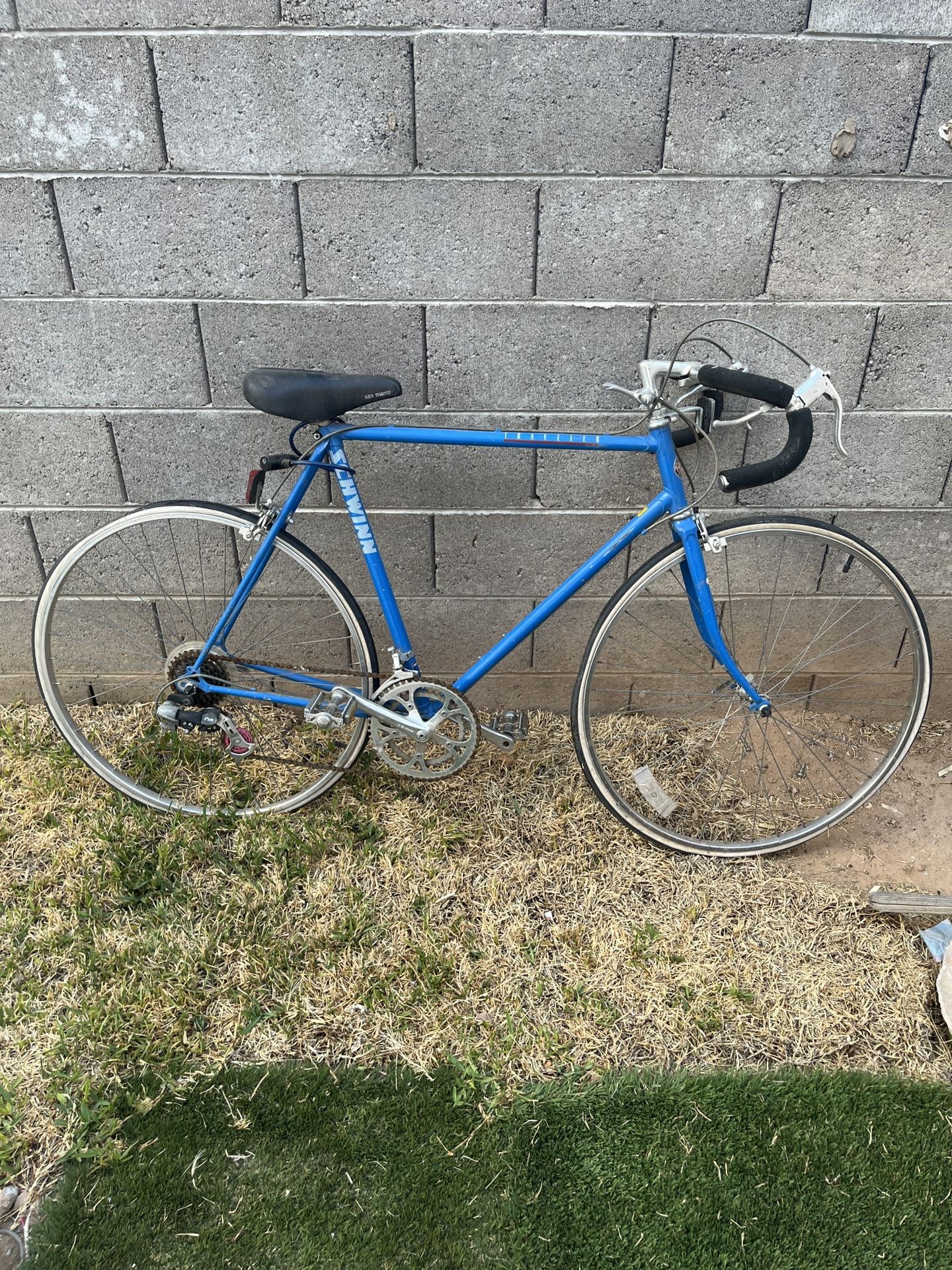 Vintage Schwinn Traveler Bike