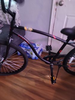 Concord adult bike and tow trailer