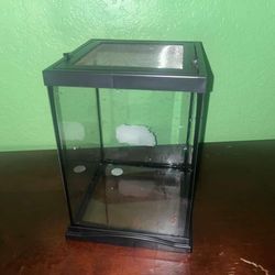 Terrarium (8.5x8.5x11.75)in