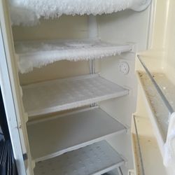 Stand Up Freezer  