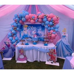 Cinderella Birthday Party