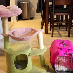 Cat tree & crate