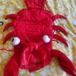 Lobster Dog Costume