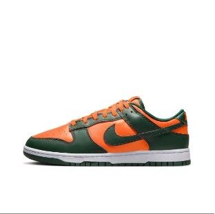 Brand new Nike DD1391-300s