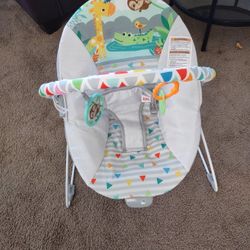 Baby Bouncer 