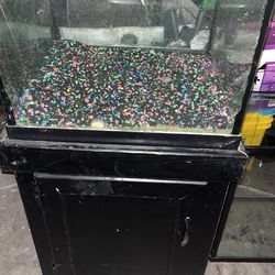 Fish Tank With Stand