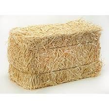 4 Full Sized Hay Bundles 