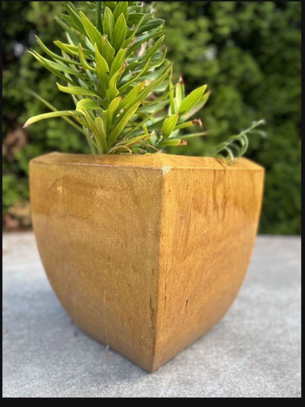 Beautiful Ceramic Glazed Pot 13” W By 14” H 