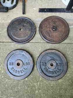 100lb Standard 1inch 25lb Weight Plates