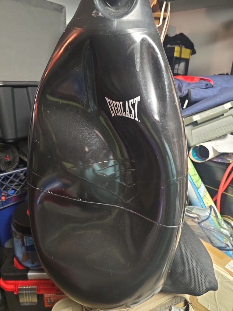 Everlast Heavy Aqua Bag