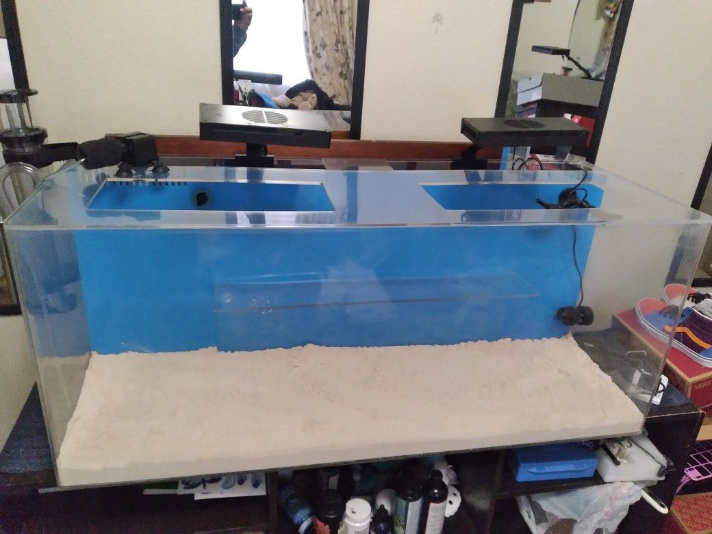 Salt Water Fish Tank w/all Accessories Needed