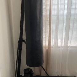 2 in 1 adjustable punching bad stand and pull up bar with punching bad and gloves included