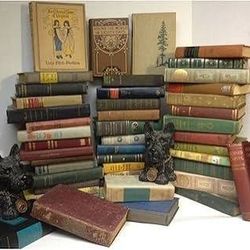 Collection lot of old book and novels